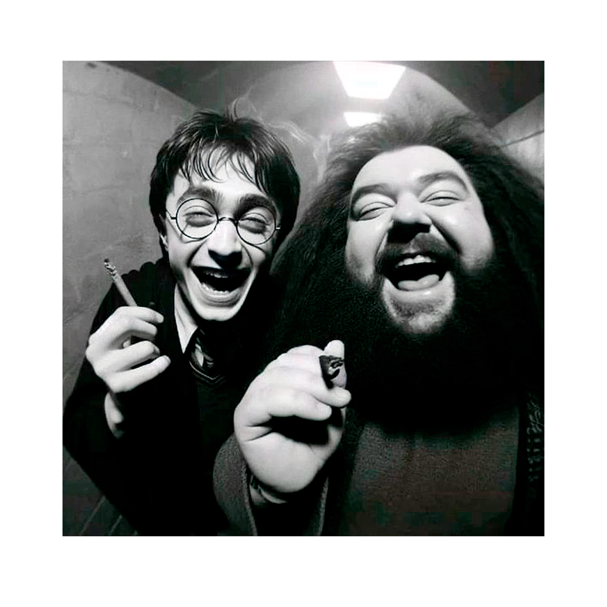 HARRY PORR* - CAMISETA HARRY Y HAGRID