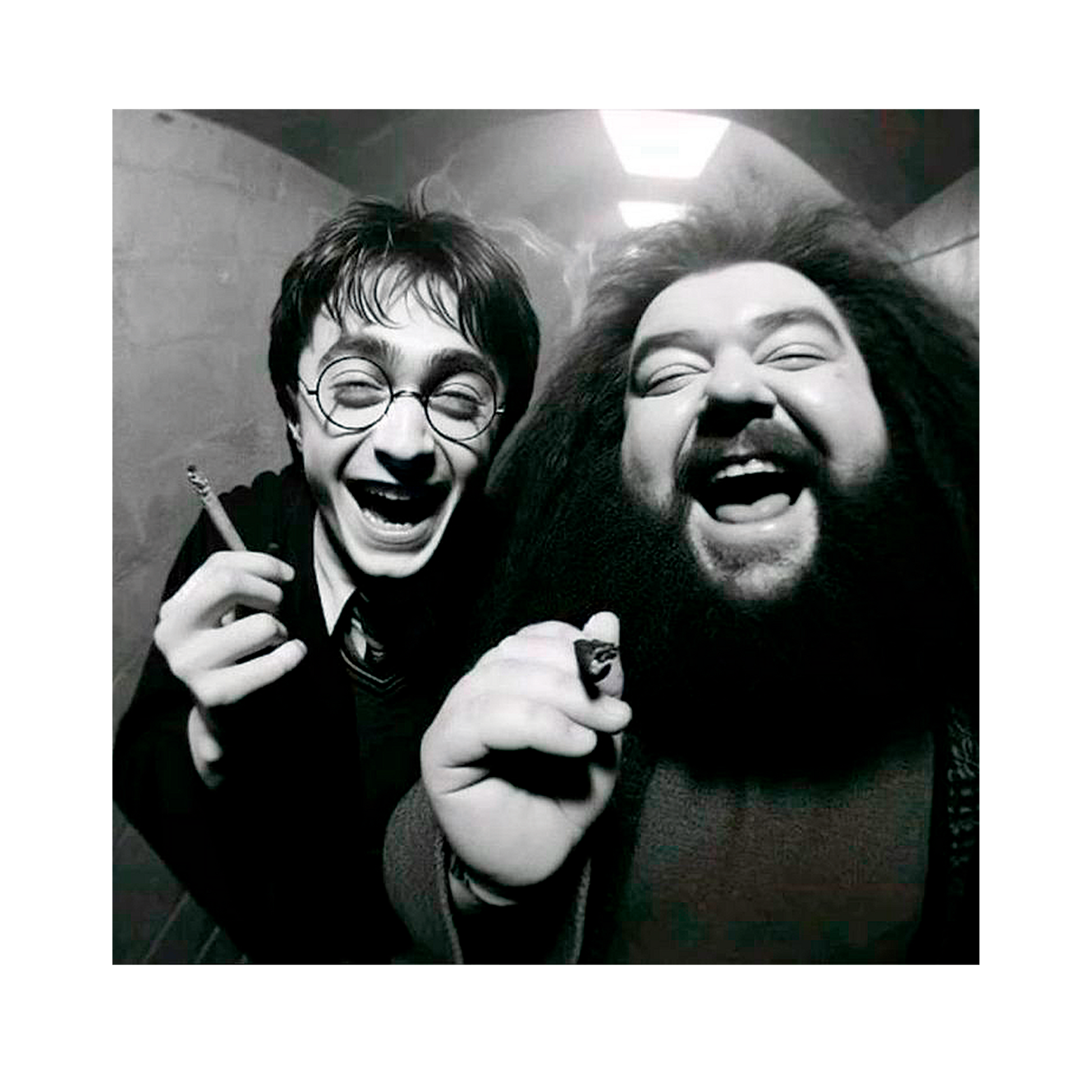 HARRY PORR* - CAMISETA HARRY Y HAGRID